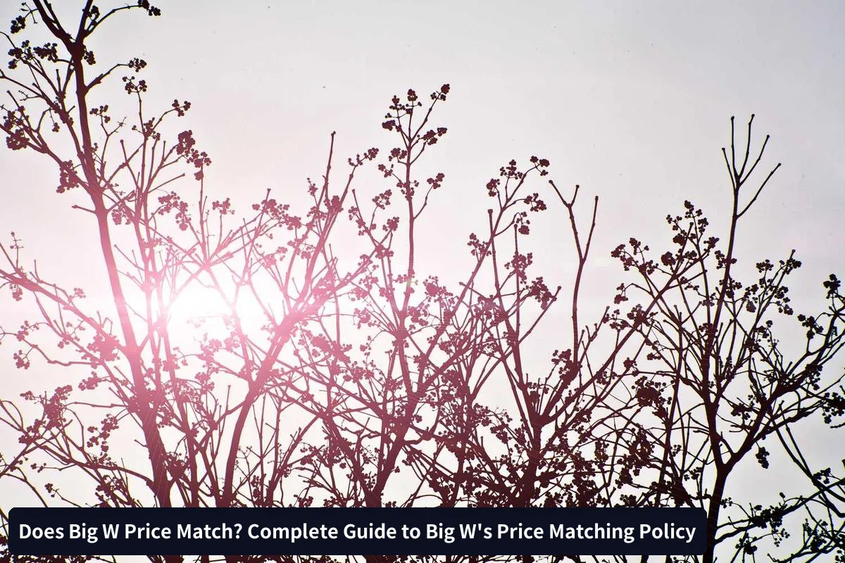 Online Price Matching