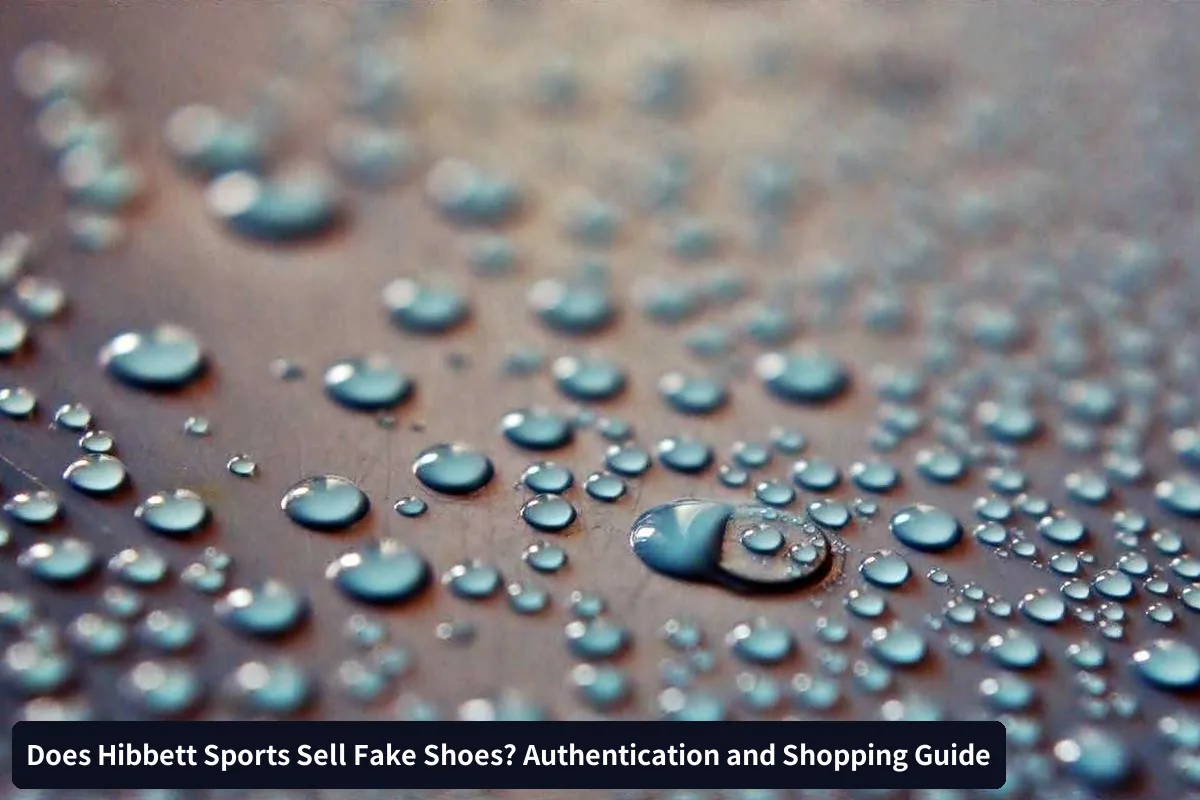 Quick Authentication Checklist