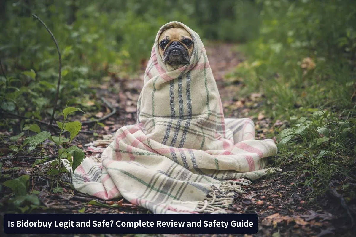 Regulatory Compliance
