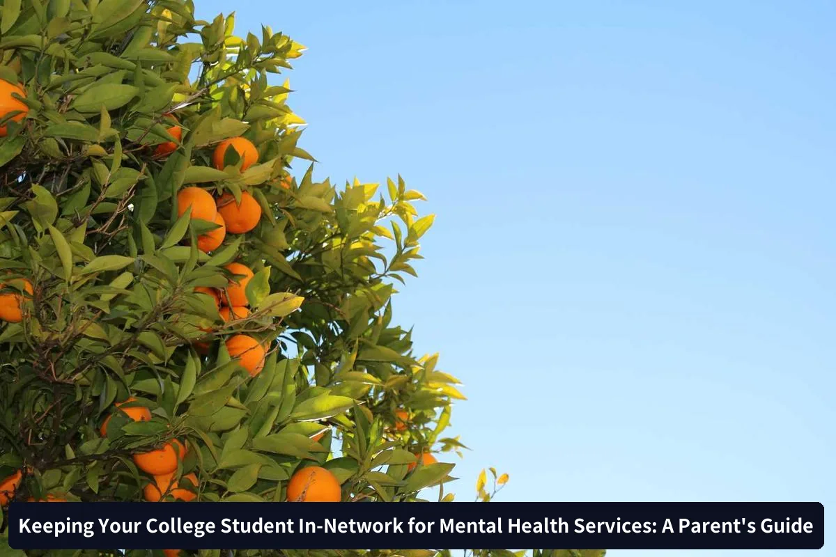 Explore Telehealth Options