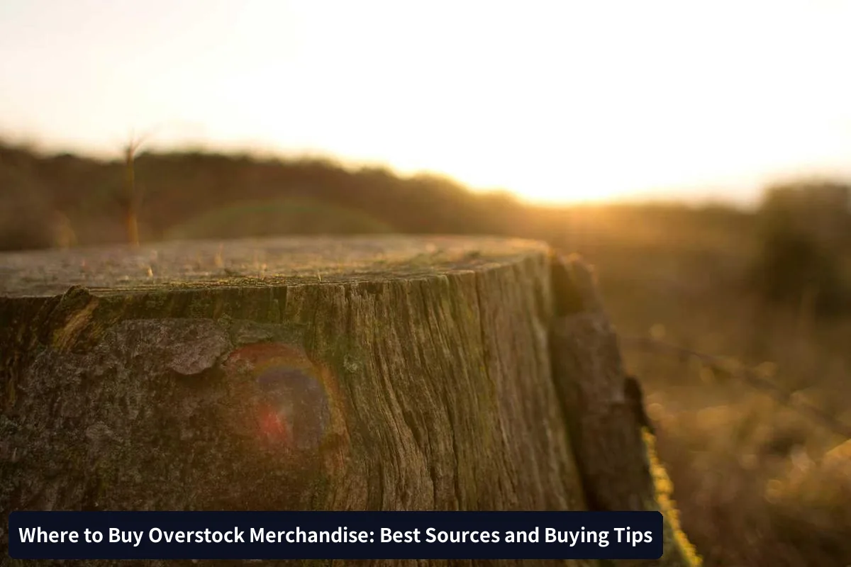 Buying Tips and Best Practices