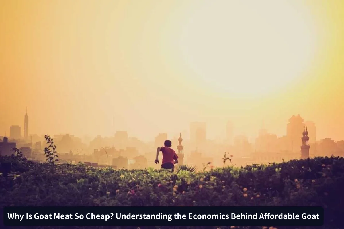 Limited Mainstream Demand in Western Markets