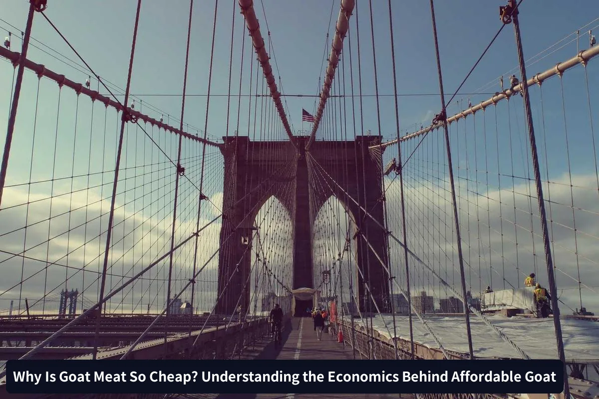 Supply Chain and Distribution Factors