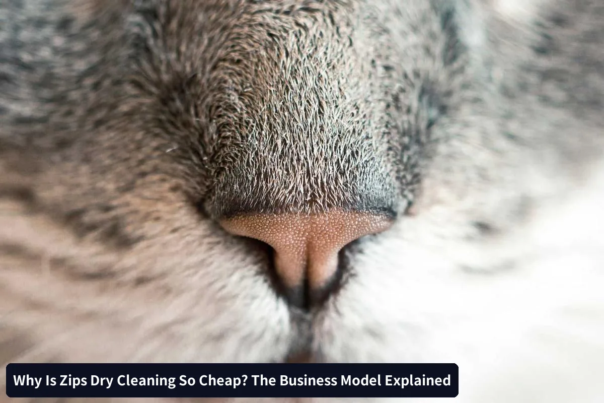 Supply Chain Efficiencies