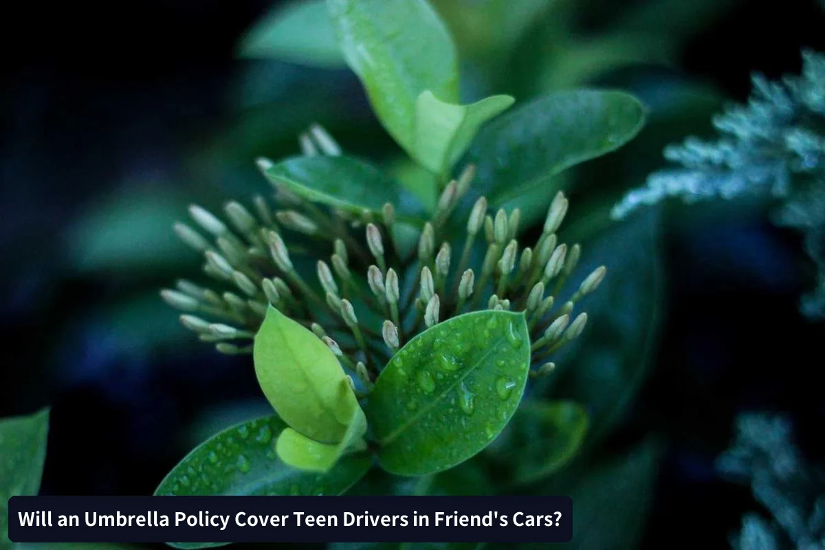 Adding Teen to Your Auto Policy