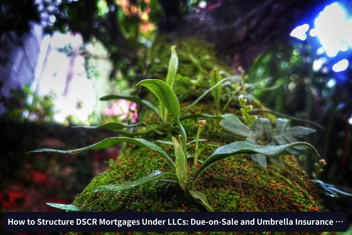 Umbrella Insurance Considerations