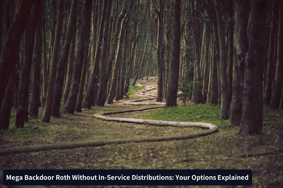 In-Plan Roth Conversions