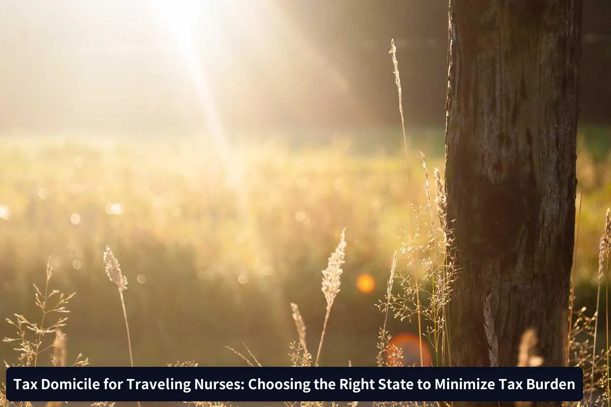 Strategic State Selection for Tax Optimization